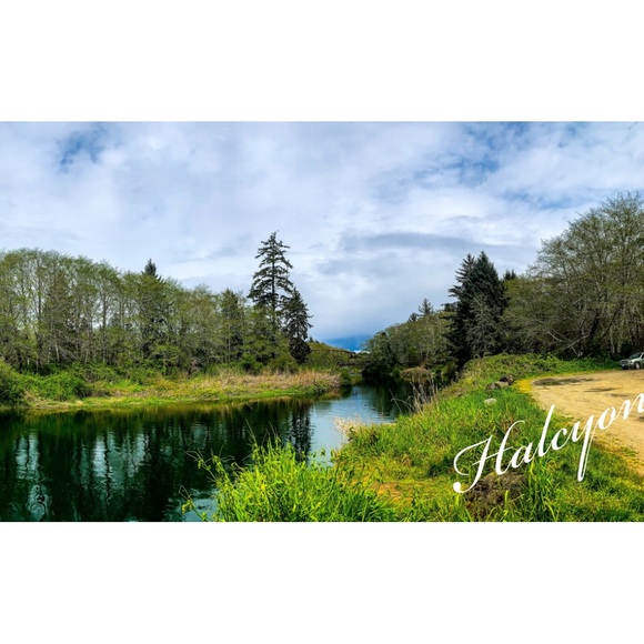 Halcyon Loftstyle presents: Halcyon Images - Picture 2 of 16